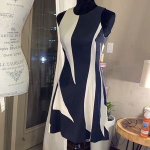Banana Republic Black and Cream Dress
